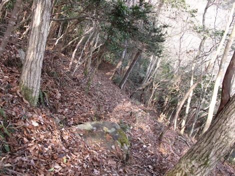 20140102hike (165)